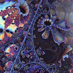 Meet your Posher, Isabelle